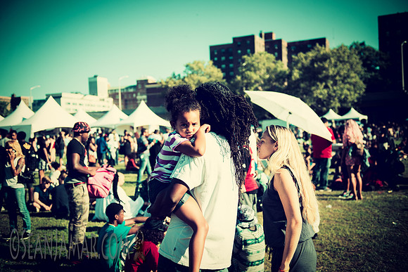 Afropunk Festival - Commodore Barry Park - BK USA - 2014