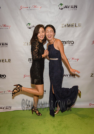 Zimele USA 6th Annual Gala - Maritime Parc - Jersey City NJ - 2017