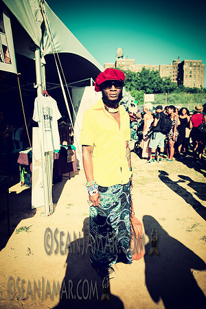 Afropunk Festival - Commodore Barry Park - BK USA - 2014
