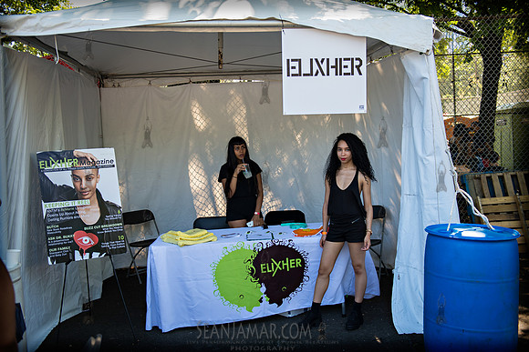 Afropunk Festival - Commodore Barry Park - BK USA - 2013