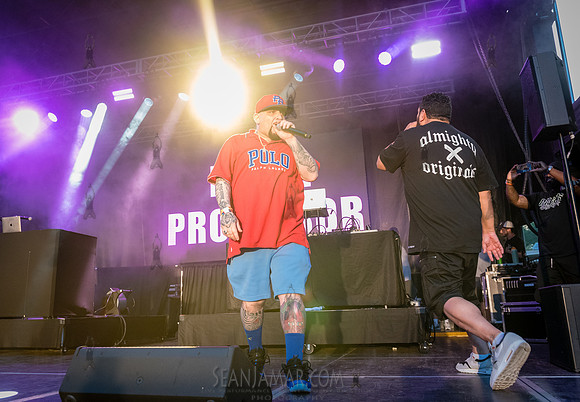 Large Professor - NYC SummerStage - Fat Beats 30th Anniversary -