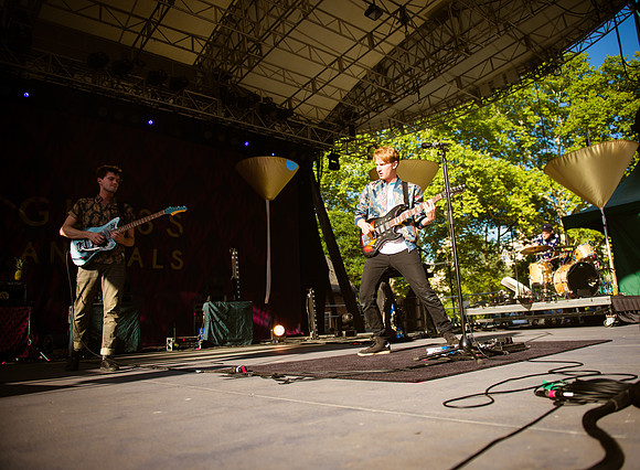 Glass Animals - Rumsy Playfield - NYC - 2015