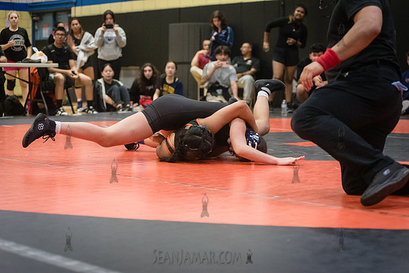 PSAL Girls Individual Championships - Harry S Truman HS - NYC -