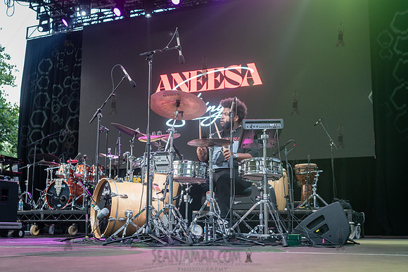 Aneesa Strings - CPF SummerStage - Yussef Dayes - Rumsey Playfie