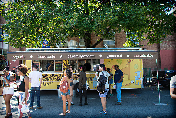 Afropunk Festival - Commodore Barry Park - BK USA - 2013