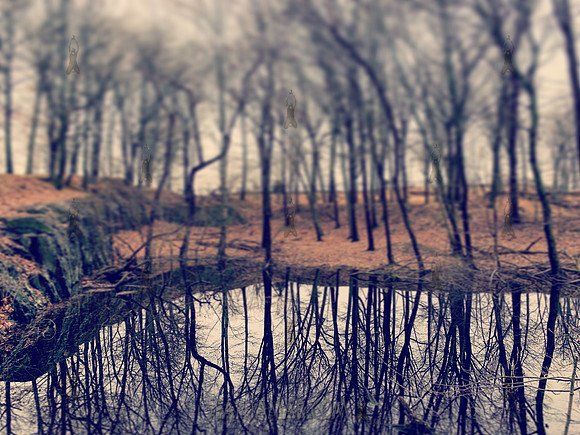 Rifle Camp Park