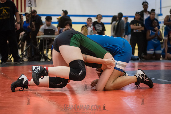 PSAL Girls Individual Championships - Harry S Truman HS - NYC -