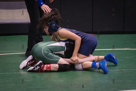 PSAL Girls Individual Championships - Harry S Truman HS - NYC -