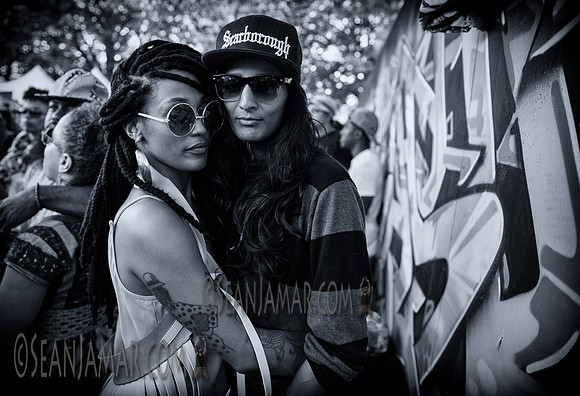 Afropunk Festival - Commodore Barry Park - BK USA - 2014
