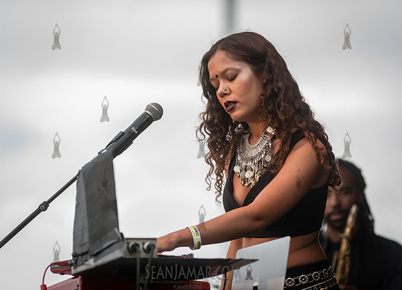 Tara Lily - NYC SummerStage - DJ Rekha Basement Bhangra - Flushi