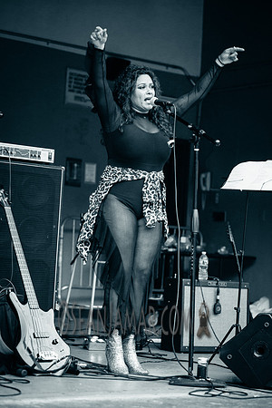 BRC Orchestra - Herbert Von King Park - BK USA - 2017