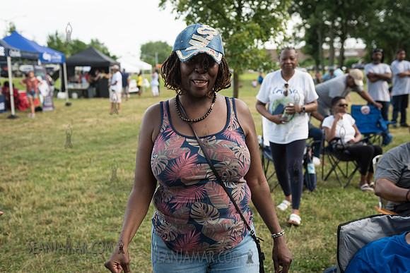2019-07-06 NYC SummerStage - Ralph McDaniels Soul and Funk Jam - Springfield Park - NYC-35.jpg