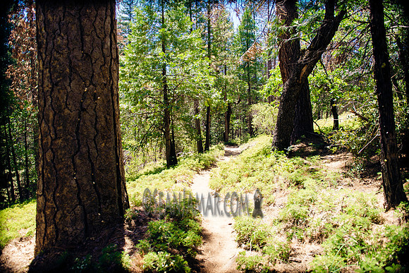 Adventure Day - Chilnualna Falls Hike - Yosemite National Park - Wawona CA - 2017
