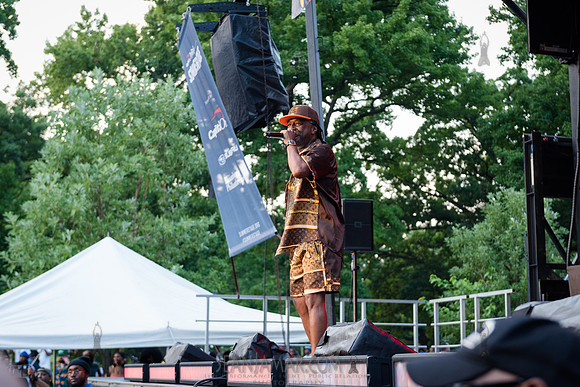 CPF SummerStage - Chuck Chillout 40th Radio Anniv - Crotona Park