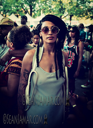 Afropunk Festival - Commodore Barry Park - BK USA - 2014