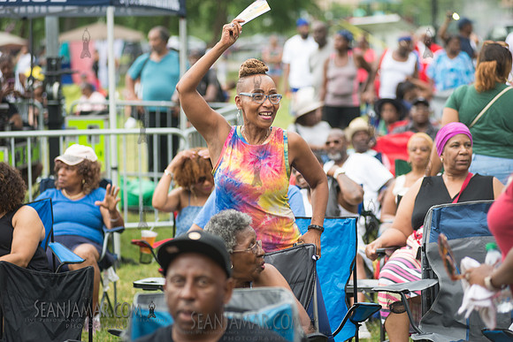 2019-07-06 NYC SummerStage - Ralph McDaniels Soul and Funk Jam - Springfield Park - NYC-87.jpg