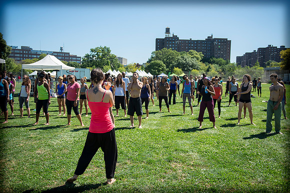 Afropunk Festival - Commodore Barry Park - BK USA - 2013