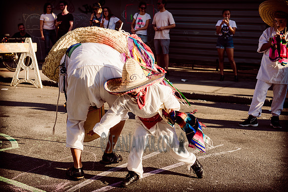Los Tecuanis De Piaxtla - Live Block Party - Brooklyn Brush - BK USA - 2017