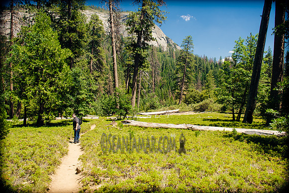 Adventure Day - Chilnualna Falls Hike - Yosemite National Park - Wawona CA - 2017