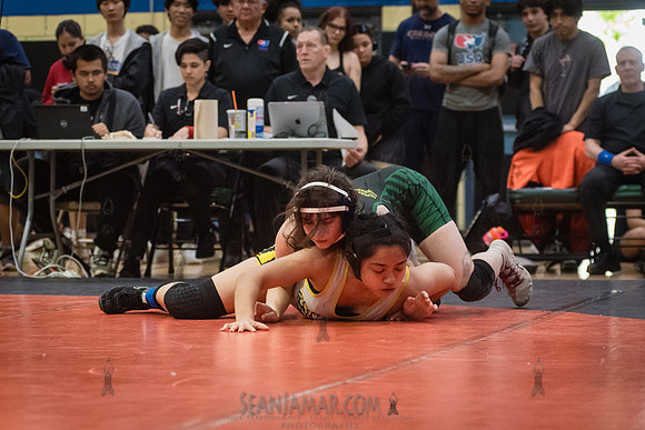 PSAL Girls Individual Championships - Harry S Truman HS - NYC -