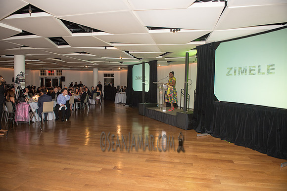 Zimele USA 6th Annual Gala - Maritime Parc - Jersey City NJ - 2017
