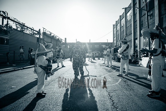 Los Tecuanis De Piaxtla - Live Block Party - Brooklyn Brush - BK USA - 2017