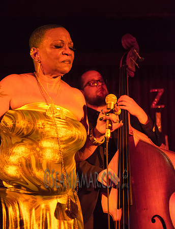 Ms Blu - Zinc Bar - NYC - 2016