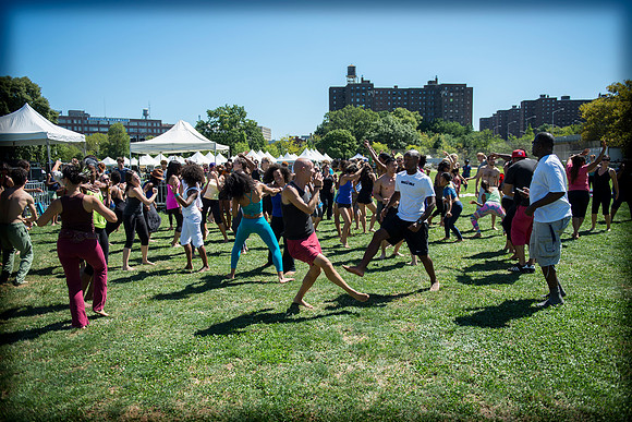 Afropunk Festival - Commodore Barry Park - BK USA - 2013