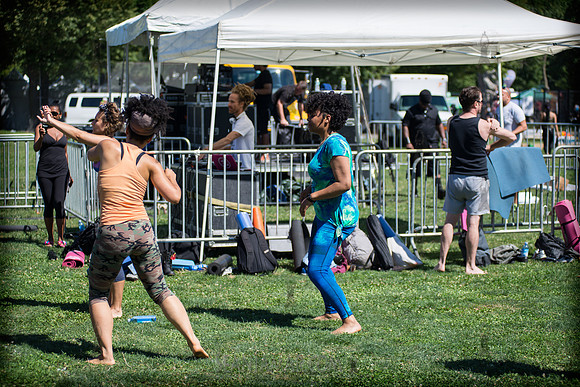 Afropunk Festival - Commodore Barry Park - BK USA - 2013