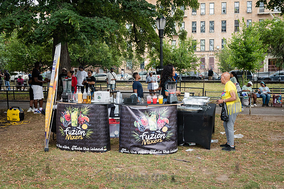 NYC SummerStage - Fat Beats 30th Anniversary - Herbert Von King