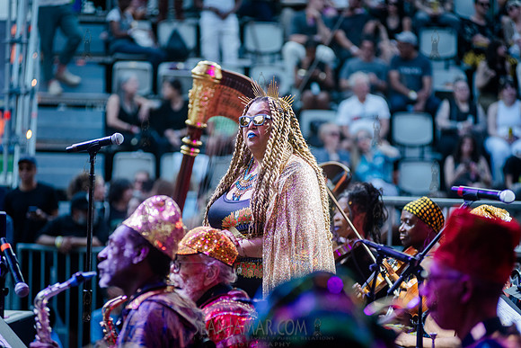 Sun Ra Arkestra - CPF SummerStage - Kim Gordon - Rumsey Playfiel