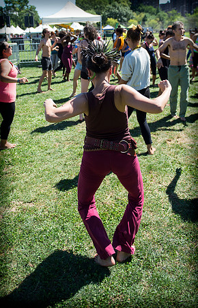 Afropunk Festival - Commodore Barry Park - BK USA - 2013