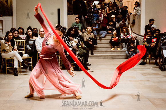 Lina Liu Artist Group - Community Day Lunar New Year - Newark Mu