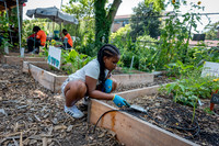 CPF Learning Gardens - Abib Newborn - NYC -2025