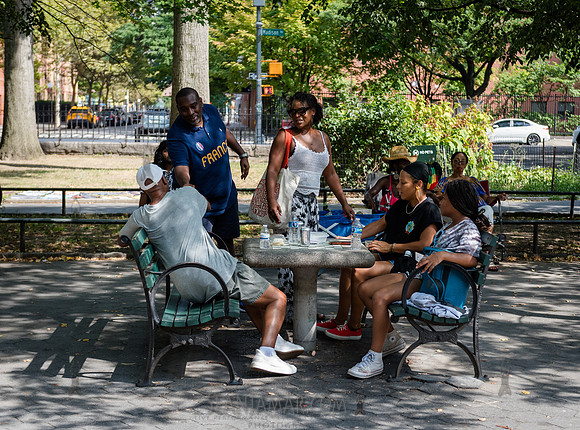 Endea Owens Community Cookout - Marcus Garvey Park - NYC - 2025