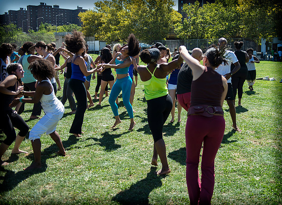 Afropunk Festival - Commodore Barry Park - BK USA - 2013