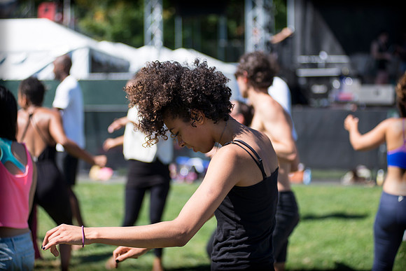 Afropunk Festival - Commodore Barry Park - BK USA - 2013