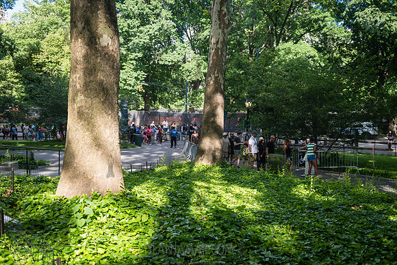 CPF SummerStage - Kes - Rumsey Playfield - NYC - 2024