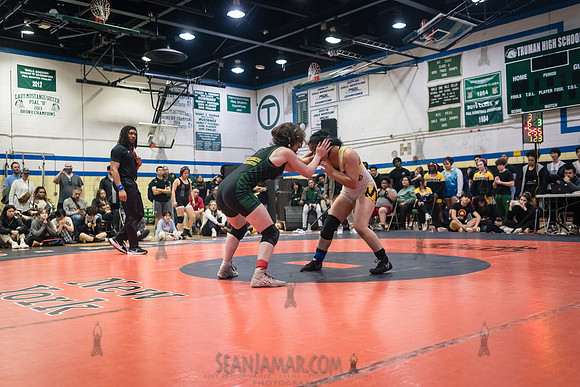 PSAL Girls Individual Championships - Harry S Truman HS - NYC -