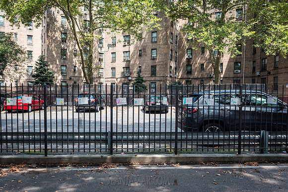 CPF Learn - Eco Innovators Summer Symposium - Queensbridge Park