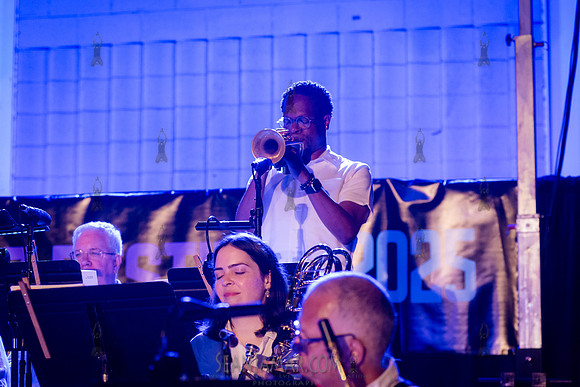 NYC SummerStage - Charlie Parker Jazz Festival - Ron Carter - Ma