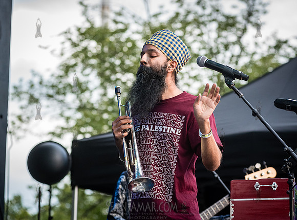 Sonny Singh - NYC SummerStage - DJ Rekha Basement Bhangra - Flus