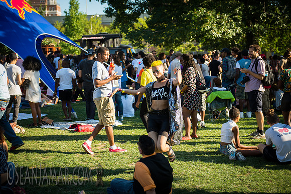 Afropunk Festival - Commodore Barry Park - BK USA - 2014