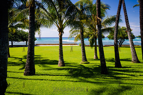 Leahi Beach Park - Adventure Day - Oahu Hawaii - 2018