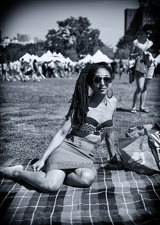 Afropunk Festival - Commodore Barry Park - BK USA - 2013