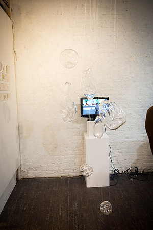 The INSignificant Gallery - SVA Students - Ward Nasse Gallery - 2015