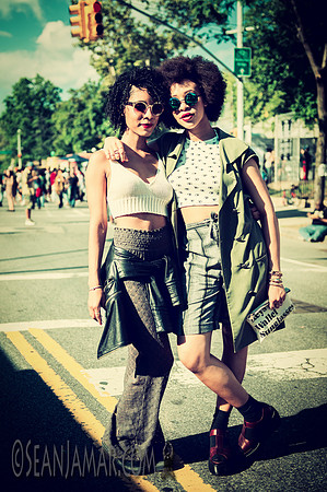 Afropunk Festival - Commodore Barry Park - BK USA - 2014