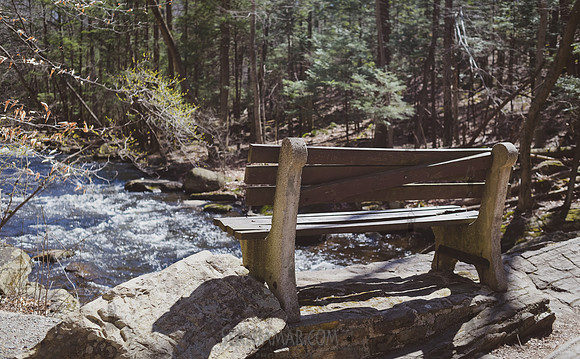 Adventure Day - Hacklebarney State Park - Chester NJ - 2021
