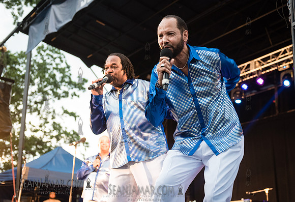 2019-07-06 NYC SummerStage - Ralph McDaniels Soul and Funk Jam - Springfield Park - NYC-149.jpg
