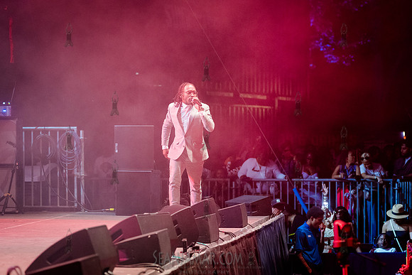 CPF SummerStage - Patrice Roberts - Rumsey Playfield - NYC - 202